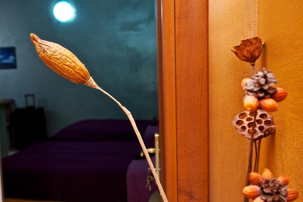 רומא Guesthouse Il Gong מראה חיצוני תמונה